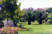 The
                        mediterranean garden at the beach